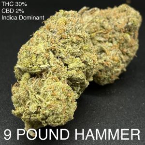 9 Pound Hammer Indica Dominant