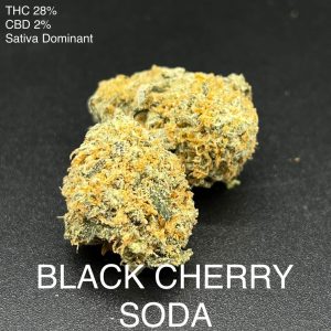 Black Cherry Soda Sativa Dominant