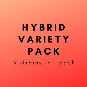 * Hybrid Variety Pack