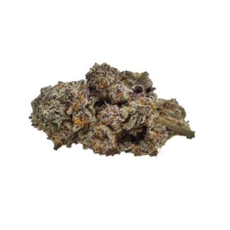 Jack Widow *Sativa*