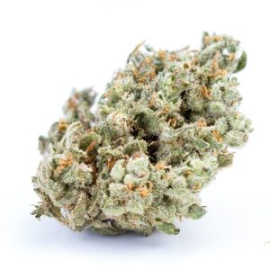 Haze *Sativa*