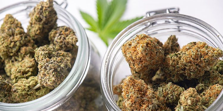Weed candies guide Weed candies guide