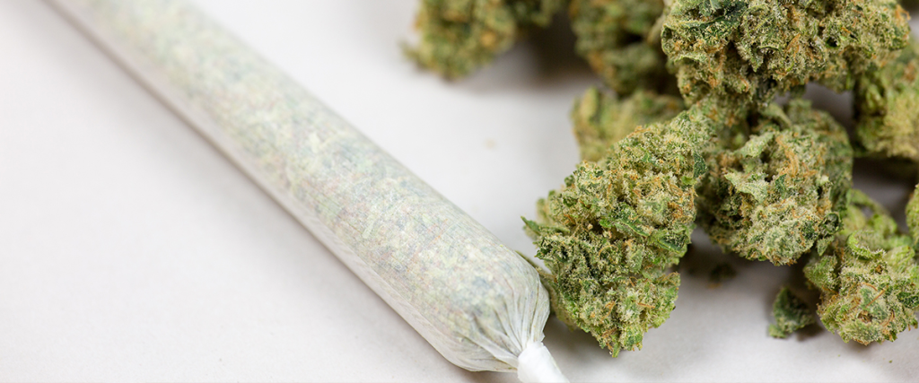 Cannabis Potency Cannabis Potency