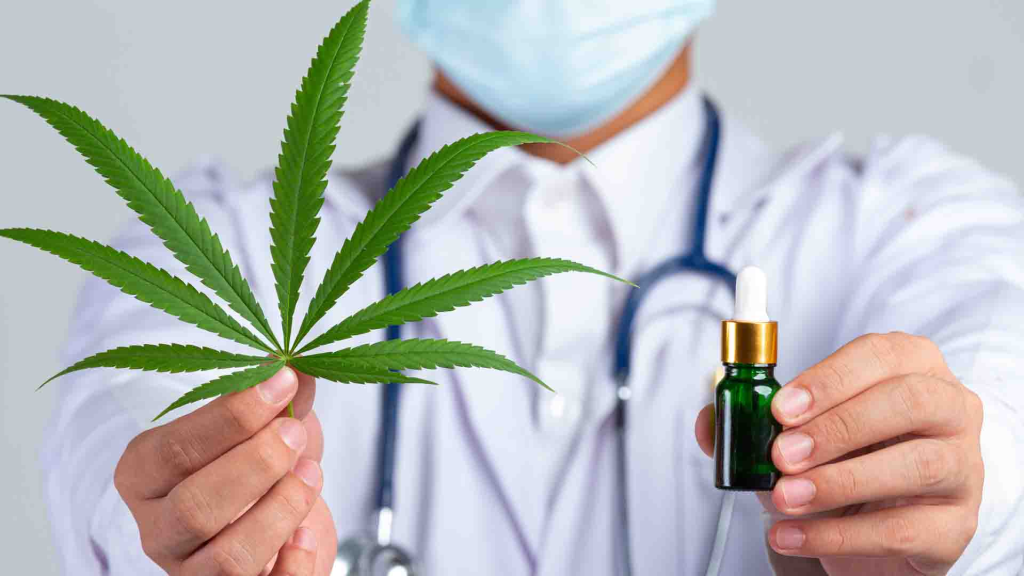 The Anatomy of Cannabis Flower The Anatomy of Cannabis Flower