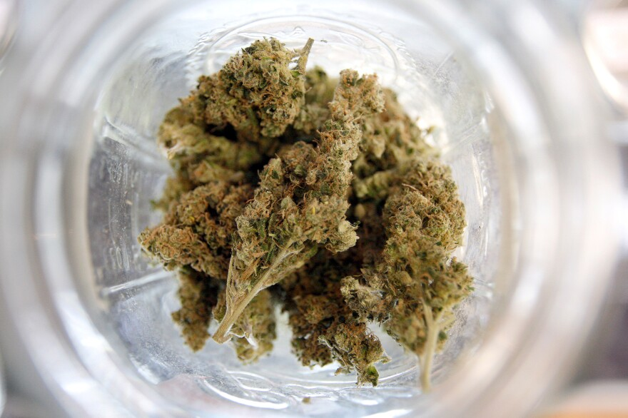 The strongest weed in Canada The strongest weed in Canada