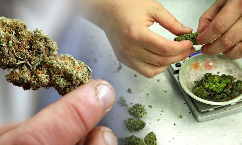 Different Ways to Consume Cannabis Concentrates Different Ways to Consume Cannabis Concentrates
