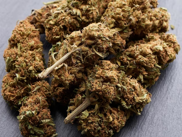 What are the 2 types of edibles? What are the 2 types of edibles?