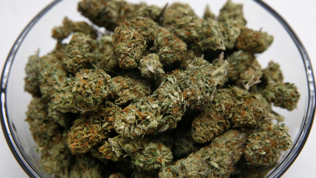 What’s the Difference Between a Coffeeshop and a Cannabis Dispensary? What’s the Difference Between a Coffeeshop and a Cannabis Dispensary?