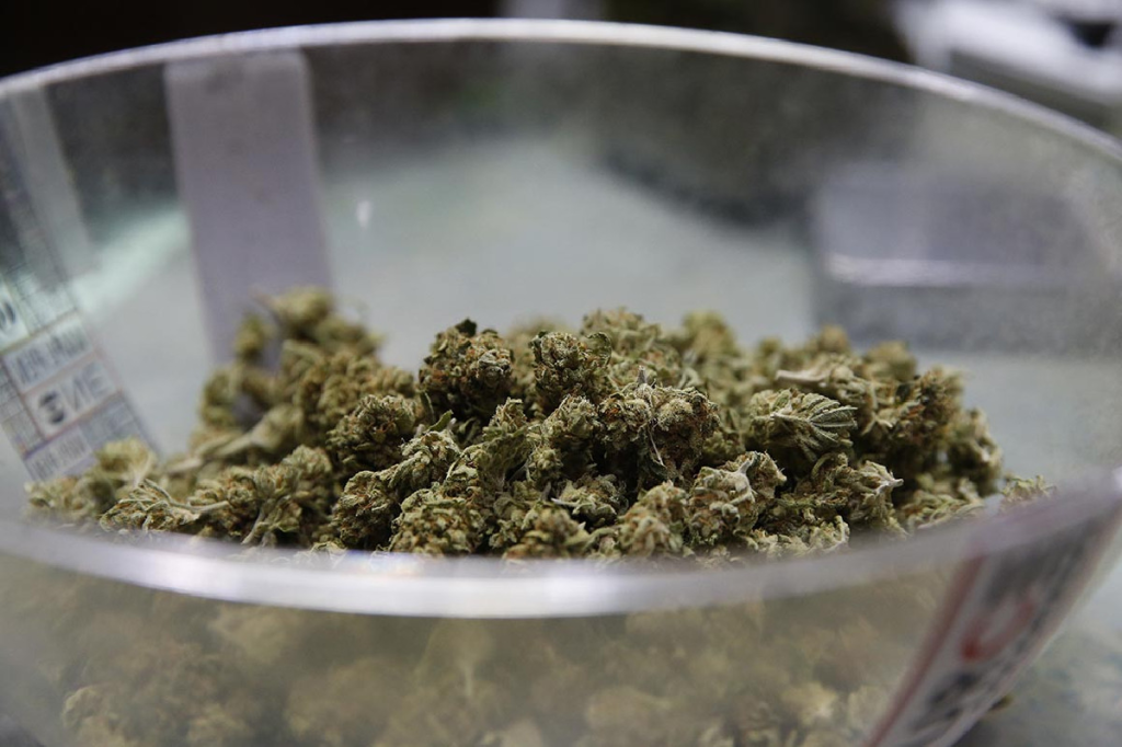 Indica vs sativa vs hybrid