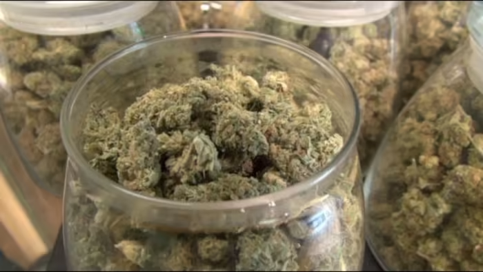How To Burp Weed How To Burp Weed