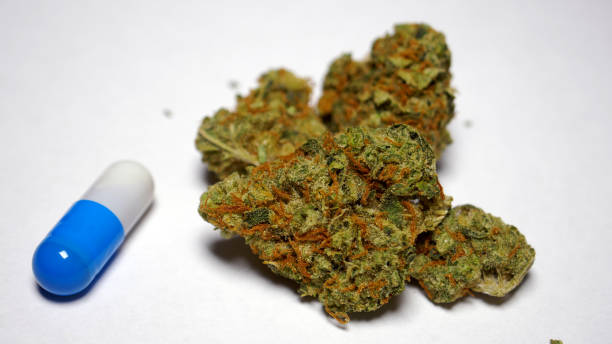 Types of Edible Cannabis Types of Edible Cannabis