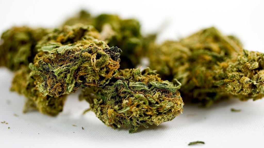 What is the effects of CBD on the brain? What is the effects of CBD on the brain?